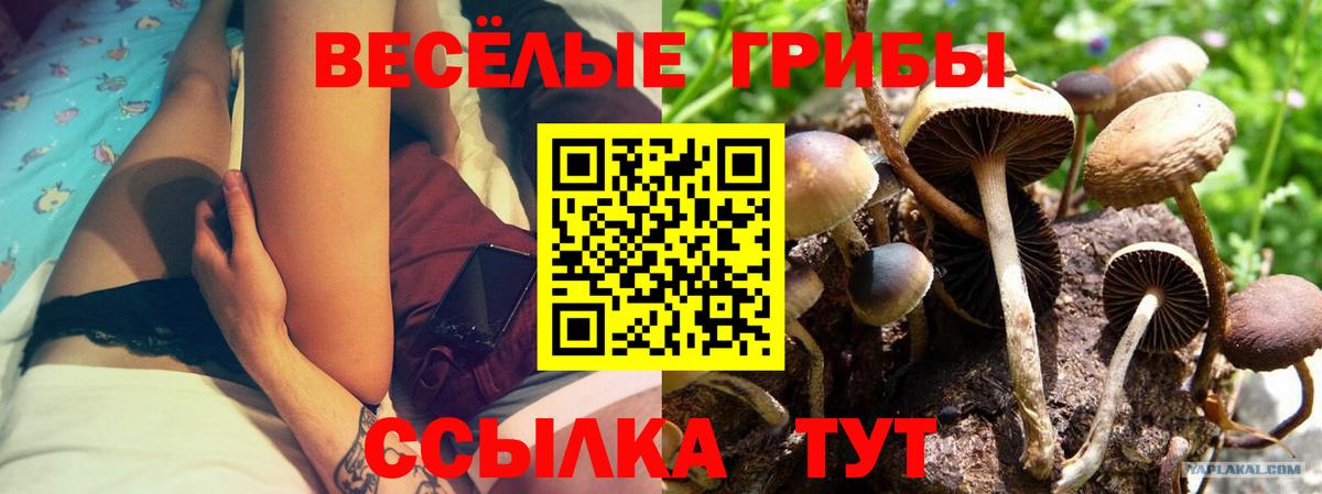 Нижний Новгород  Галлюциногенные грибы мухоморы  купить  сайты  Вход с VPN 