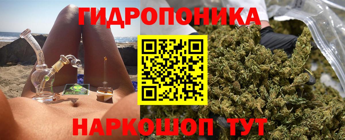 Нижний Новгород  Конопля LSD WEED  Бошки марихуана White Widow  Вход с VPN  Каннабис гибрид  Конопля White Widow 